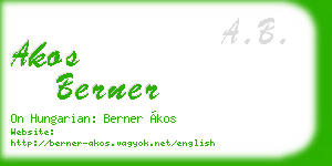 akos berner business card